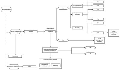 Cost-effectiveness for high dose quadrivalent versus the adjuvanted quadrivalent influenza vaccine in the Italian older adult population